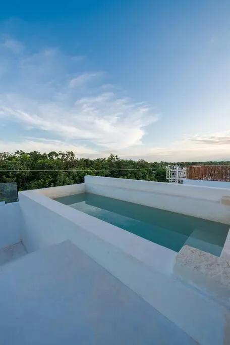Relaxing Loft With Private Pool And Amazing Views In The Heart Of Tulum Apartment