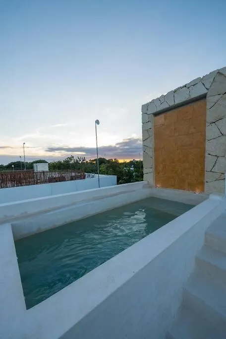Relaxing Loft With Private Pool And Amazing Views In The Heart Of Tulum Apartment