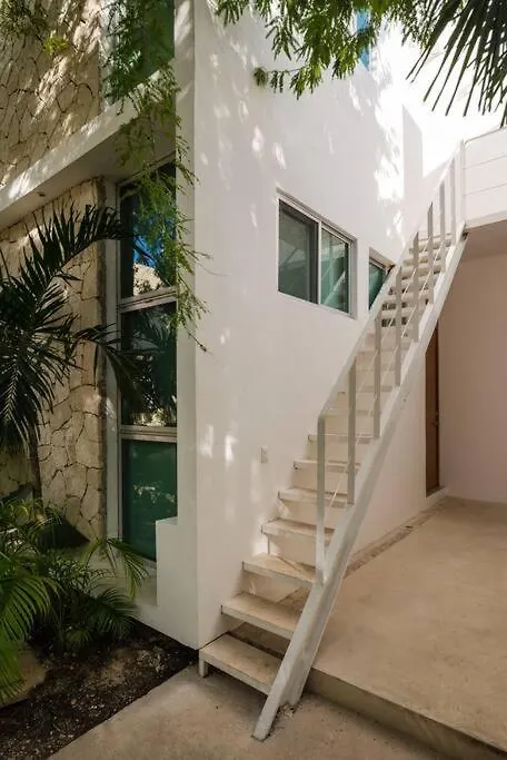 Relaxing Loft With Private Pool And Amazing Views In The Heart Of Tulum Apartment