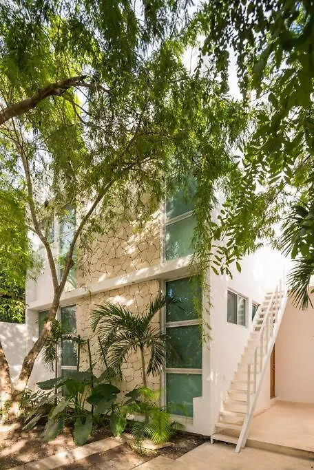Relaxing Loft With Private Pool And Amazing Views In The Heart Of Tulum Apartment 0*,