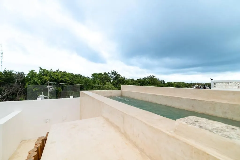 Relaxing Loft With Private Pool And Amazing Views In The Heart Of Tulum Apartment