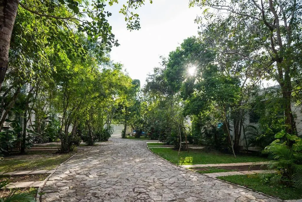 Relaxing Loft With Private Pool And Amazing Views In The Heart Of Tulum Apartment