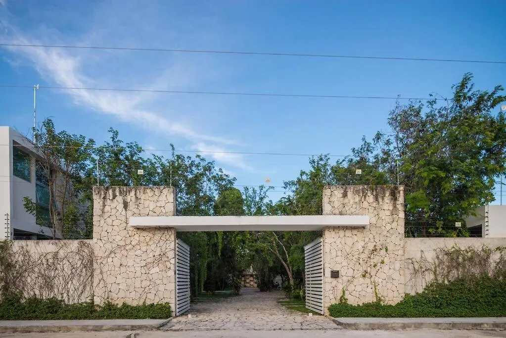 Relaxing Loft With Private Pool And Amazing Views In The Heart Of Tulum Apartment