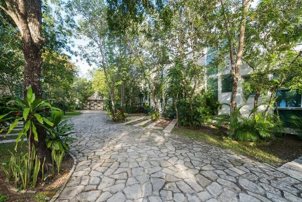 Relaxing Loft With Private Pool And Amazing Views In The Heart Of Tulum Apartment