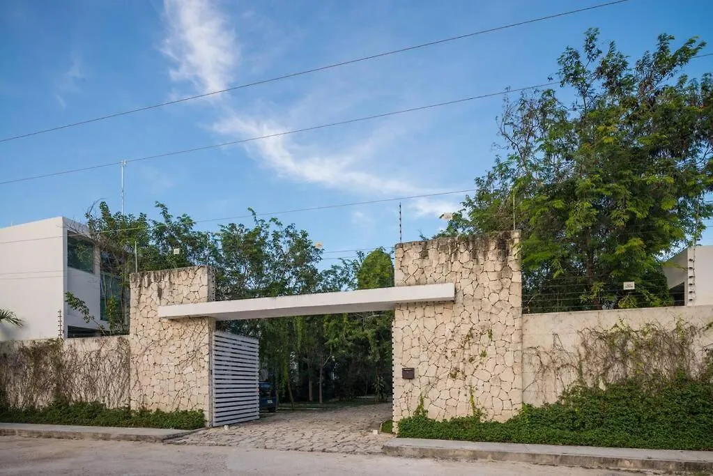 Relaxing Loft With Private Pool And Amazing Views In The Heart Of Tulum Apartment