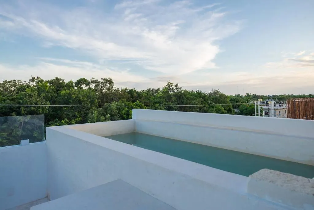 公寓 Relaxing Loft With Private Pool And Amazing Views In The Heart Of Tulum公寓 墨西哥